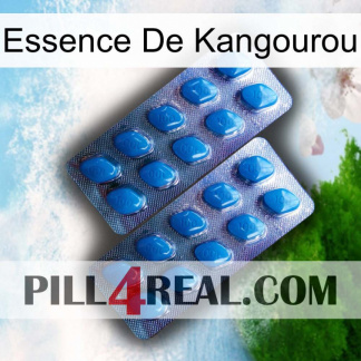Kangaroo Essence viagra2